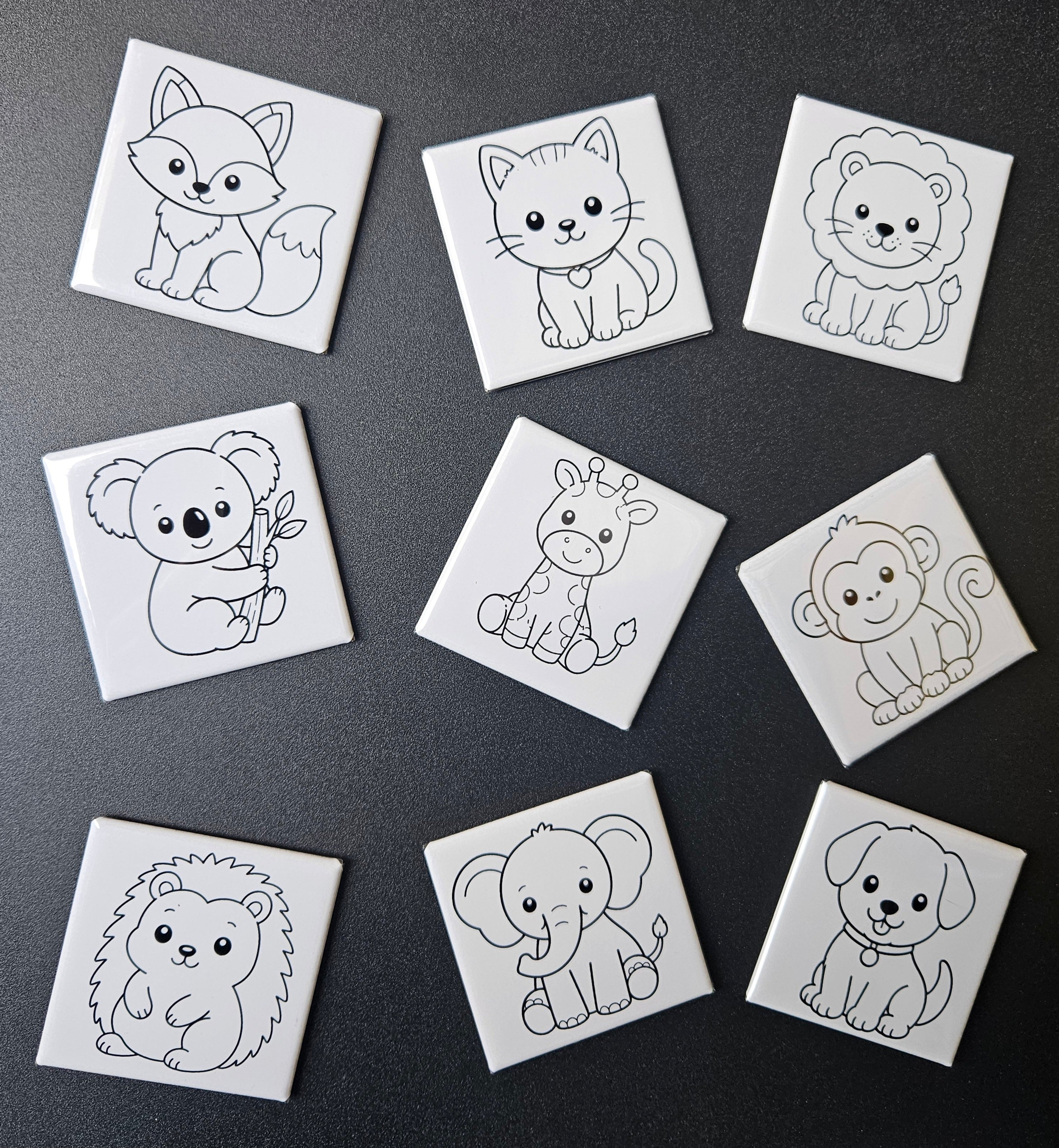 Dry-Erase Magnets