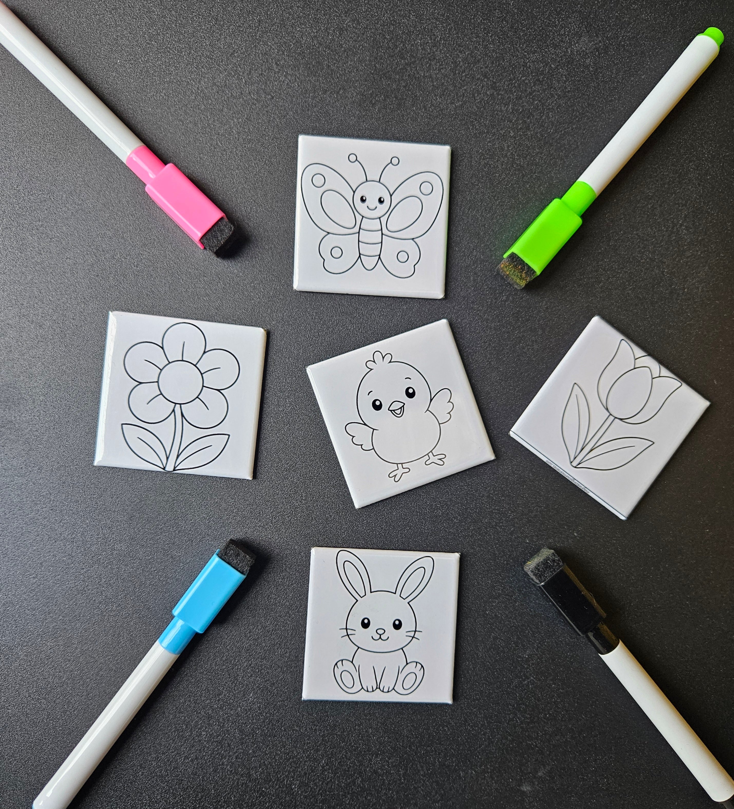 Dry Erase Spring Magnet Set
